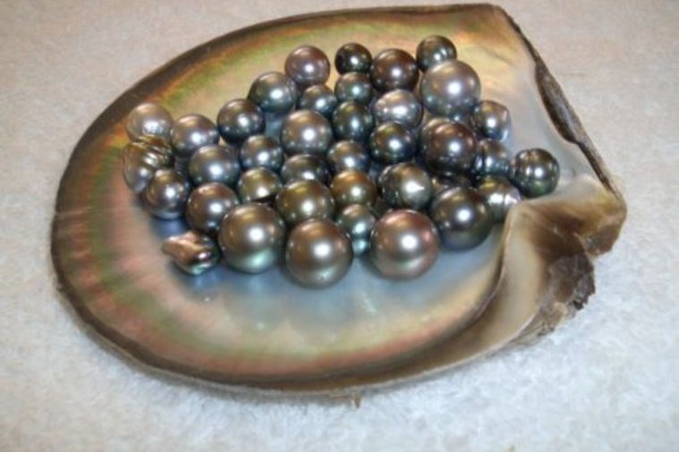 Tour Tâm Linh - Khám Phá Côn Đảo